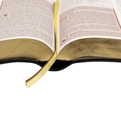 image_eba5e270-58b1-40f6-860c-21f7587357a7