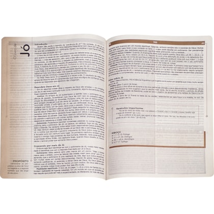 image_f95e5eef-7cdd-4464-935a-10e31f5008c4