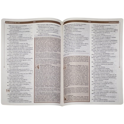 image_cce2410b-fa5b-4cae-af98-cf5100566139