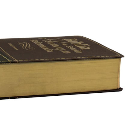 image_109ec637-7c60-4bff-97d7-11d97600ad1d