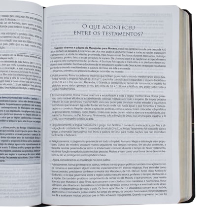 image_e1a75326-8d7a-456d-83f3-794810f2cdc8