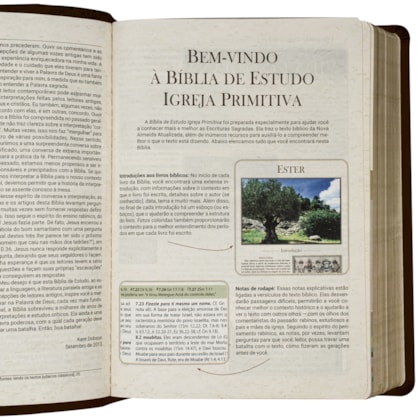 image_c119429d-90c4-4dab-b25b-e8bdfeff5987