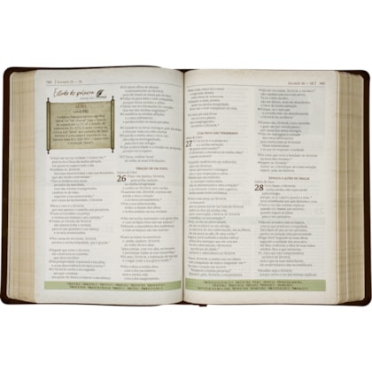 image_3d4b9f9b-36e6-47a6-ac8e-3a0035fe264d