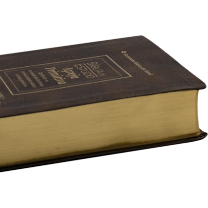 image_d2143142-28bf-4608-b68f-90d2d001be97