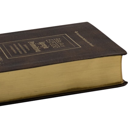 image_268d49e6-c9c5-464e-bd26-4f754f31acd0