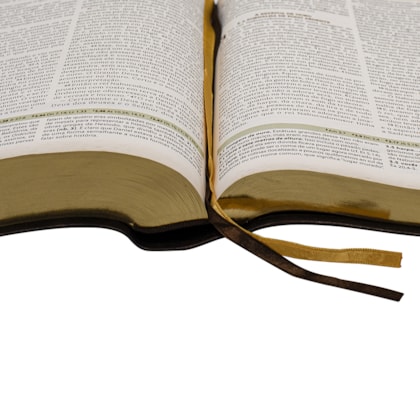 image_bd6dde24-f583-48da-aa31-af73e7b909f0