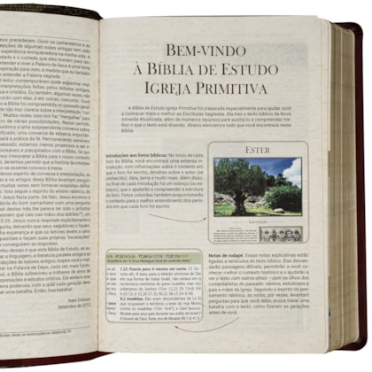 image_7c7ef7a0-cdc0-4848-a58a-f32684ab66fd