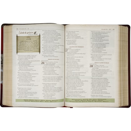 image_70fc9e72-af66-41d6-9187-d335d19657af