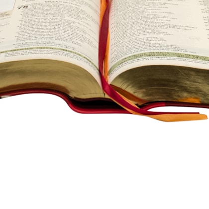 image_7b2b1acf-e7b9-4b4d-af82-bc1680a3f82c