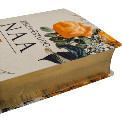 image_b141d198-1d40-4f21-a567-d2c3d79530fb