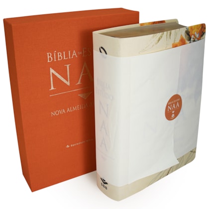 image_42407500-0fd8-4035-a7a6-5afa0d3da6d6