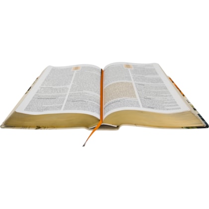 image_0f9964f9-b8ff-414e-87fe-d66e99949dfe