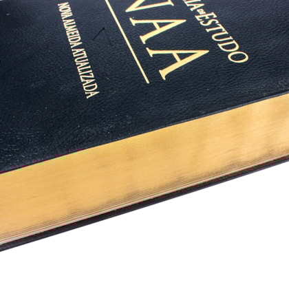 image_ec92f3bb-8d00-4229-bafc-533d188c5b63