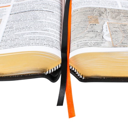 image_503188bb-ac85-4cce-864b-8f0099a5dcfa