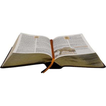image_ade189d5-468a-4d98-91c0-c0afedd7dcbb
