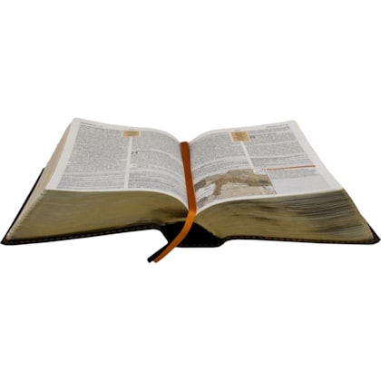 image_33ad5b57-1db6-4e5c-9c8e-2425f59ade4b