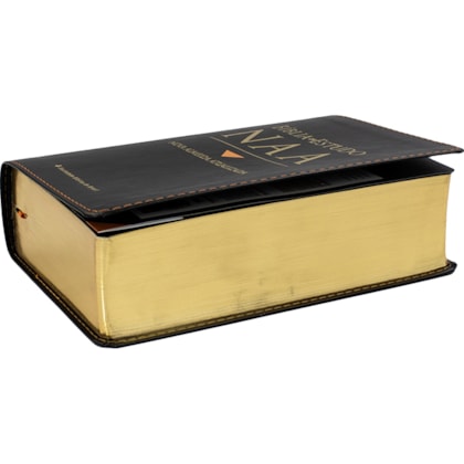 image_5fbda41d-6eaa-4b48-84b3-4fc3c7d25835