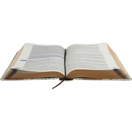 image_2d37dc1c-95bb-4d12-a9a0-2d2a3052f3ea