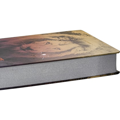 image_e4da7061-634a-4b70-931d-602677a09485