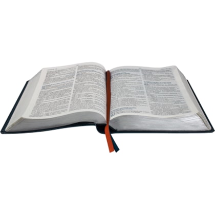 image_6ab9f491-e477-4a4a-9952-ee9a285c11f3