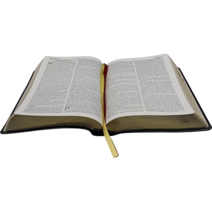 image_b62b6dc5-0b77-4084-aa38-547aa300d2c0