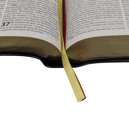 image_b6130d3c-78ba-4ac7-b74a-dc373e01a03f