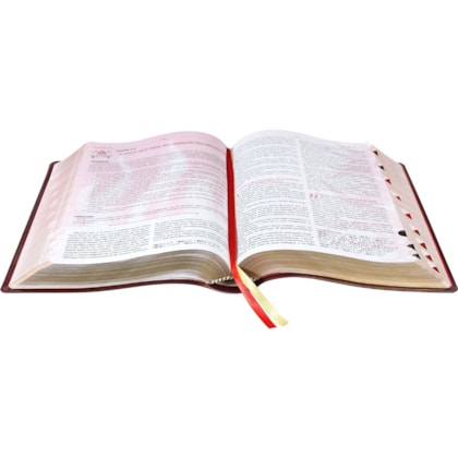 image_c4e9a761-36c7-4b7d-8483-5cb1bdbc2e24