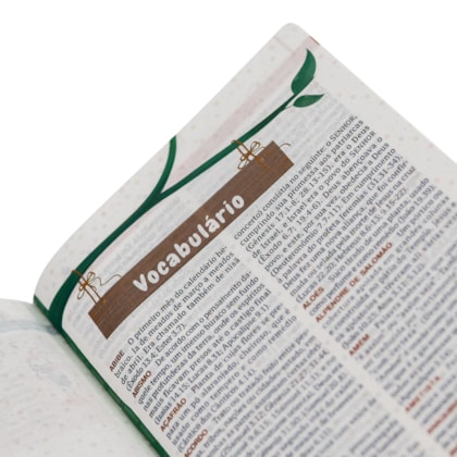 image_a80c8e79-0150-4c6f-a578-93378cc5dcd2