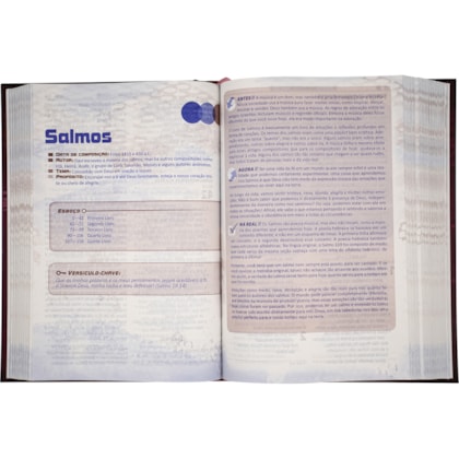 image_c472d1f5-67e7-4d38-bb62-07825e6f6418