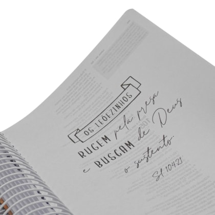 image_d2fcf2c1-8a78-4af7-95f0-86ffd040b0d5