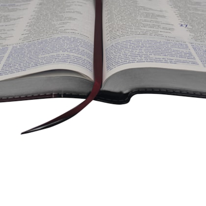 image_a6032680-b314-4376-9e2d-47874aca13db