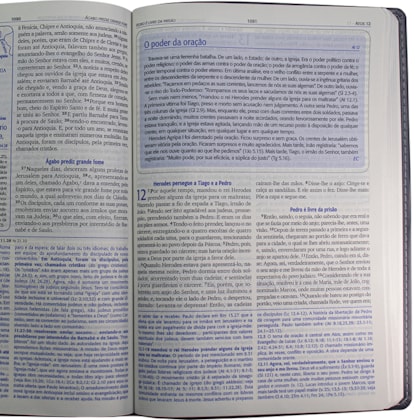 image_7e01c116-5710-4937-b6a6-3cf7d3563745