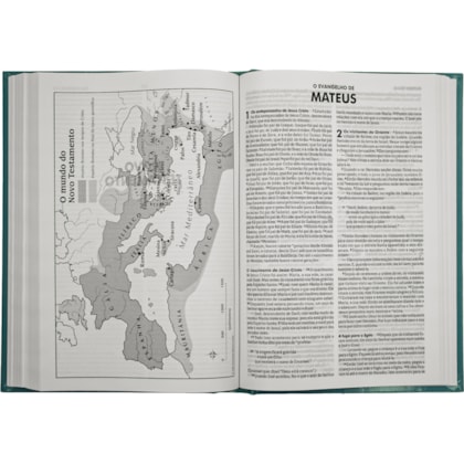 image_bd05554a-8bc0-40d9-83a9-f5aedb8a8506