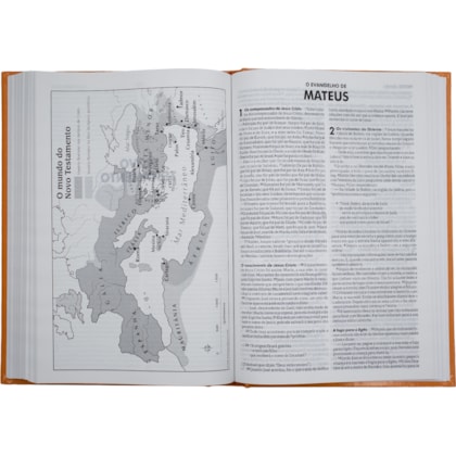 image_005f522f-1511-432f-880f-97cf87f5b19d