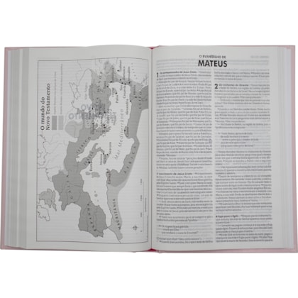 image_94855624-4365-41eb-9558-92169bbf81a9