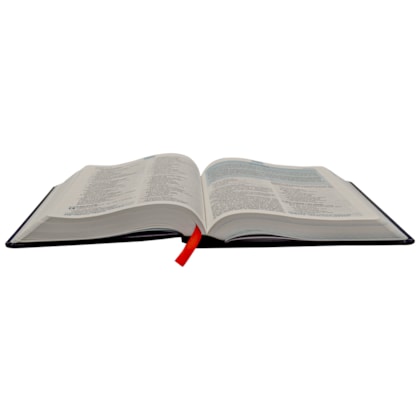 image_e2809853-ec99-4818-b8c7-ae76c34934e6