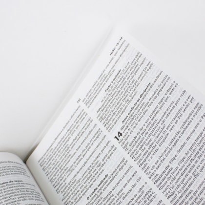 image_b0302d57-7690-496d-9ff7-18d926324a91