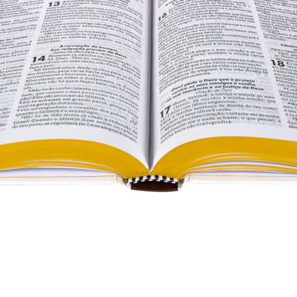 image_ae2b0590-825f-4f52-9c77-4969ddaa35e0