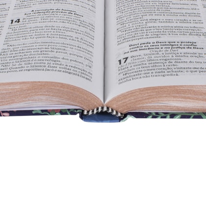 image_895cdfcf-6c9d-4337-bb3f-b294525b426d