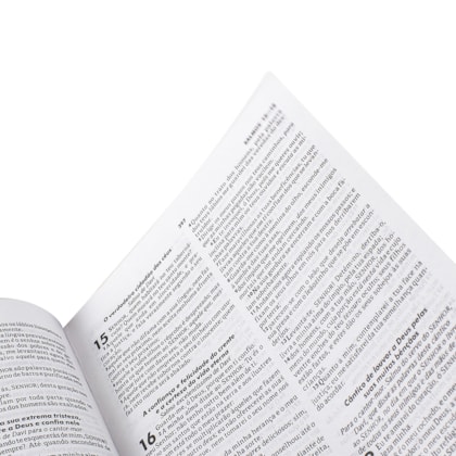 image_9b2d50e7-3679-4f38-8960-f5fa255c9db3