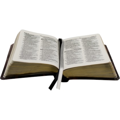 image_7619f170-30ff-4ce1-9a9d-cdd9d21cd91f