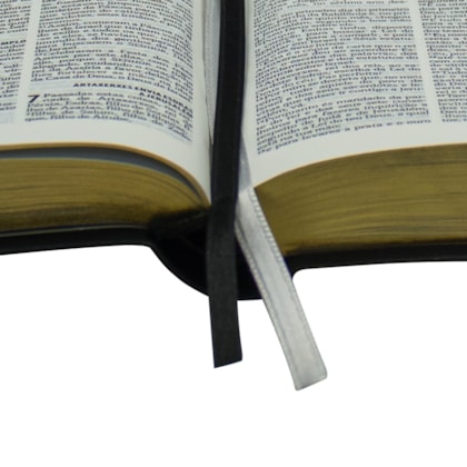 image_f1a91831-64dc-4e2a-9cba-6894b1ff97f2