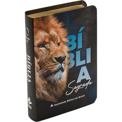 image_872b5222-0a8c-4901-8b04-9a50e5437544