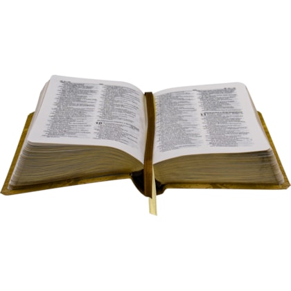 image_25fce2cc-a6de-4c0e-add2-84ae33f4411e