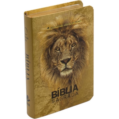 image_7d363bf2-0122-47fd-b7ef-4c47d257d614