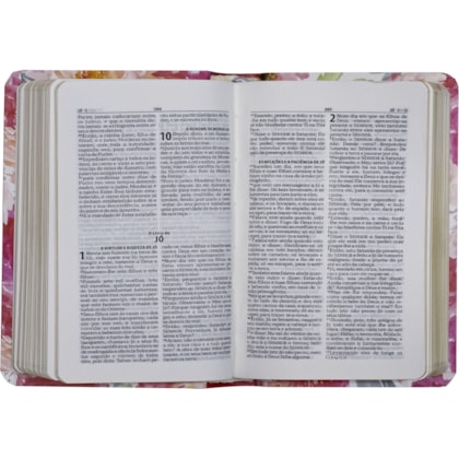 image_e729119c-6b39-4dcc-964d-1a6531fb98b4