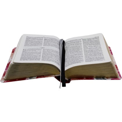 image_827a3242-ffe6-4666-98f9-8b4b178b03ba