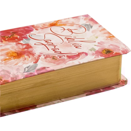 image_95382e84-98a4-473c-abe6-d3adb7ed358f