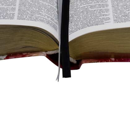 image_7e65e2f4-d5f2-4444-b9bf-a2f6df897933