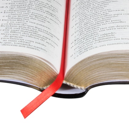 image_37a38eb8-d8fa-4952-bf42-d2d771a9b133